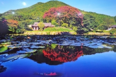 中央支部婦人会韓国旅行２０１１年4月７日～１０日-008
