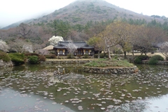 中央支部婦人会韓国旅行２０１１年4月７日～１０日-018