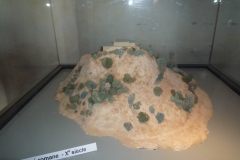 P1050036