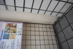 DSCN1220