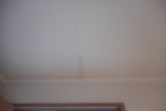 DSCN1270