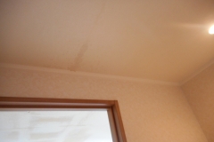 DSCN1271