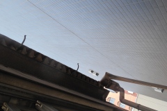 DSCN1282