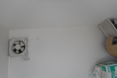 DSCN1284