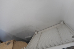 DSCN1286