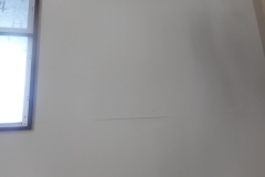 DSCN1287