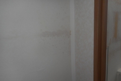 DSCN1289