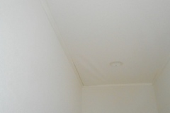 DSCN1894