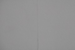 DSCN1898