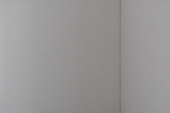 DSCN1900
