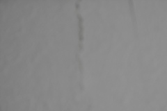 DSCN1904